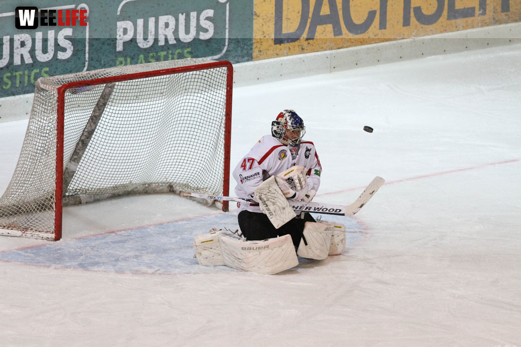 Selber Wölfe - EHC Freiburg