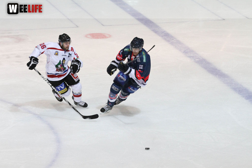 Selber Wölfe - EHC Freiburg