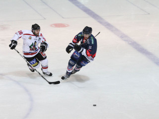 Foto 43240 im Album