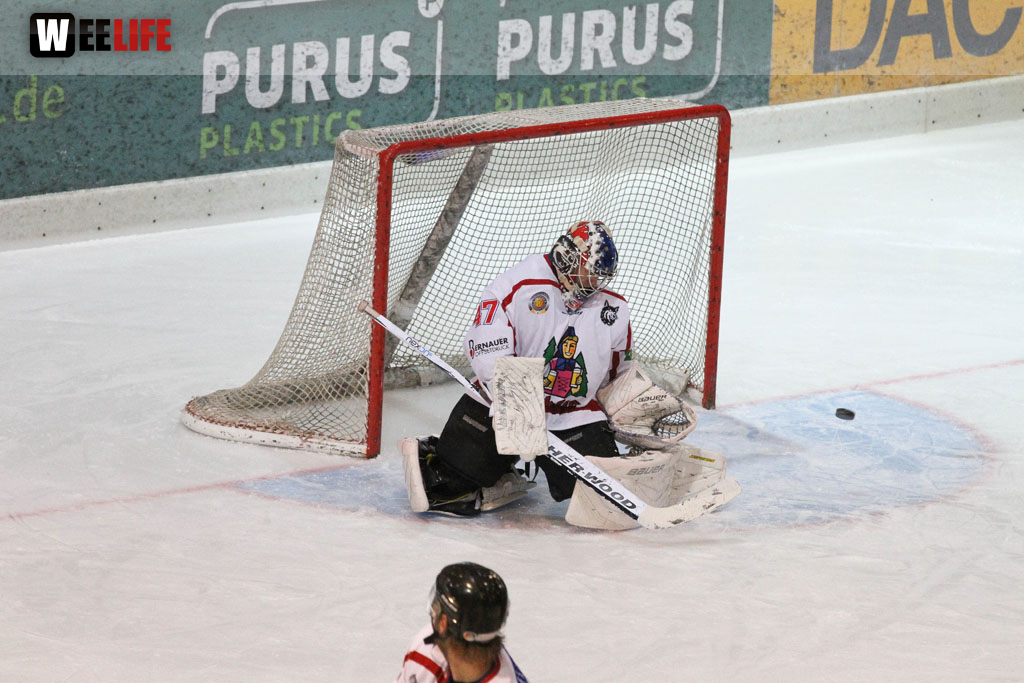 Selber Wölfe - EHC Freiburg