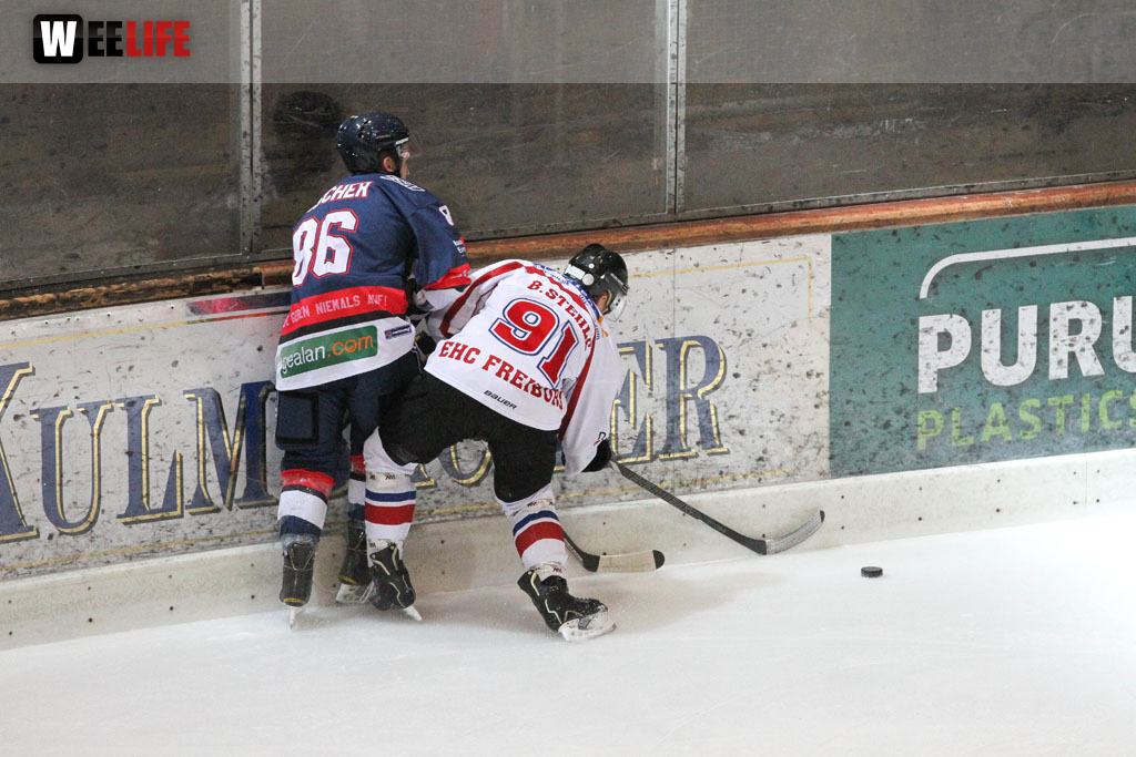 Selber Wölfe - EHC Freiburg