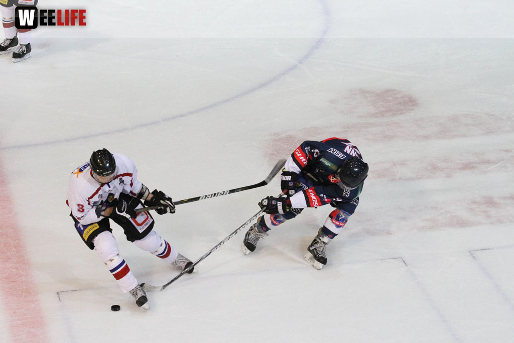 Selber Wölfe - EHC Freiburg