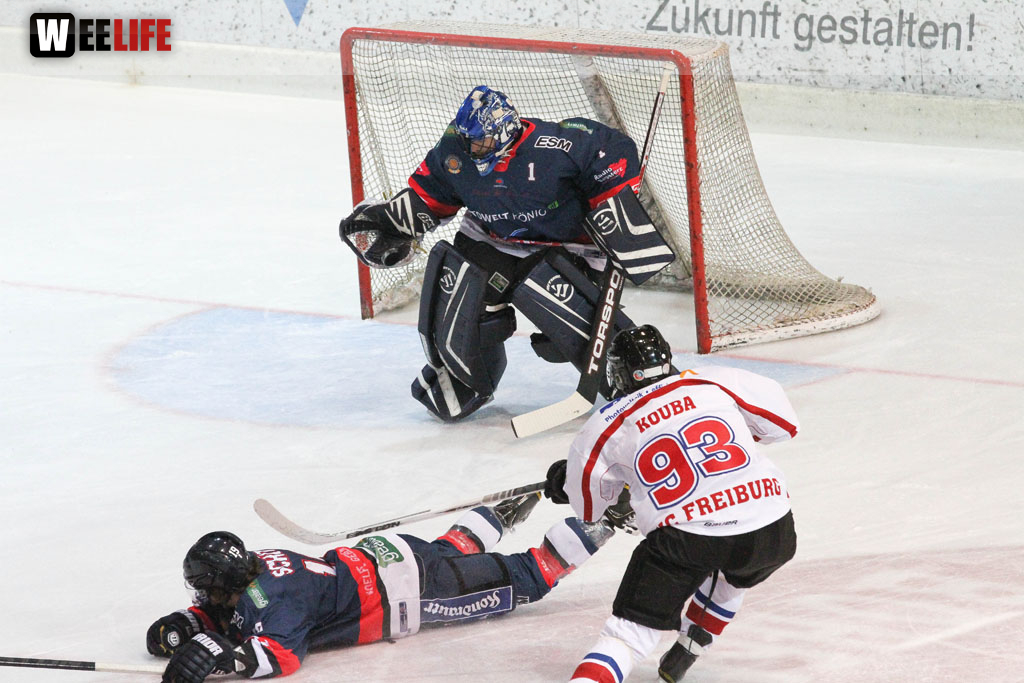 Selber Wölfe - EHC Freiburg