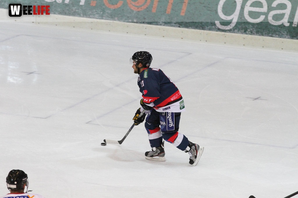Selber Wölfe - EHC Freiburg