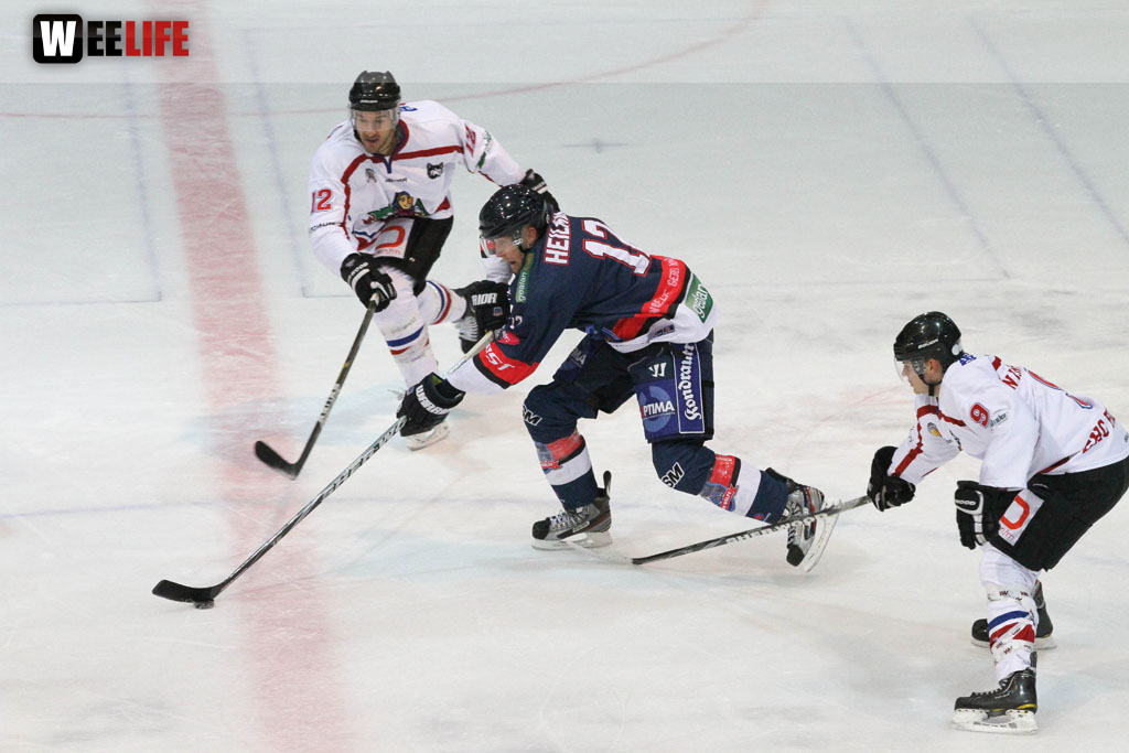 Selber Wölfe - EHC Freiburg