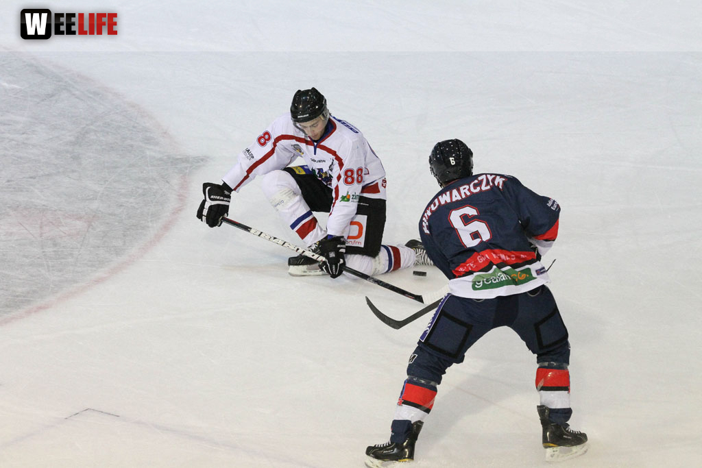 Selber Wölfe - EHC Freiburg