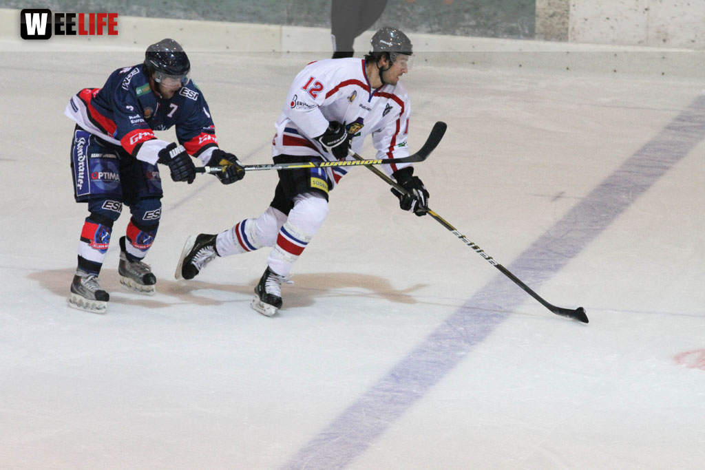 Selber Wölfe - EHC Freiburg