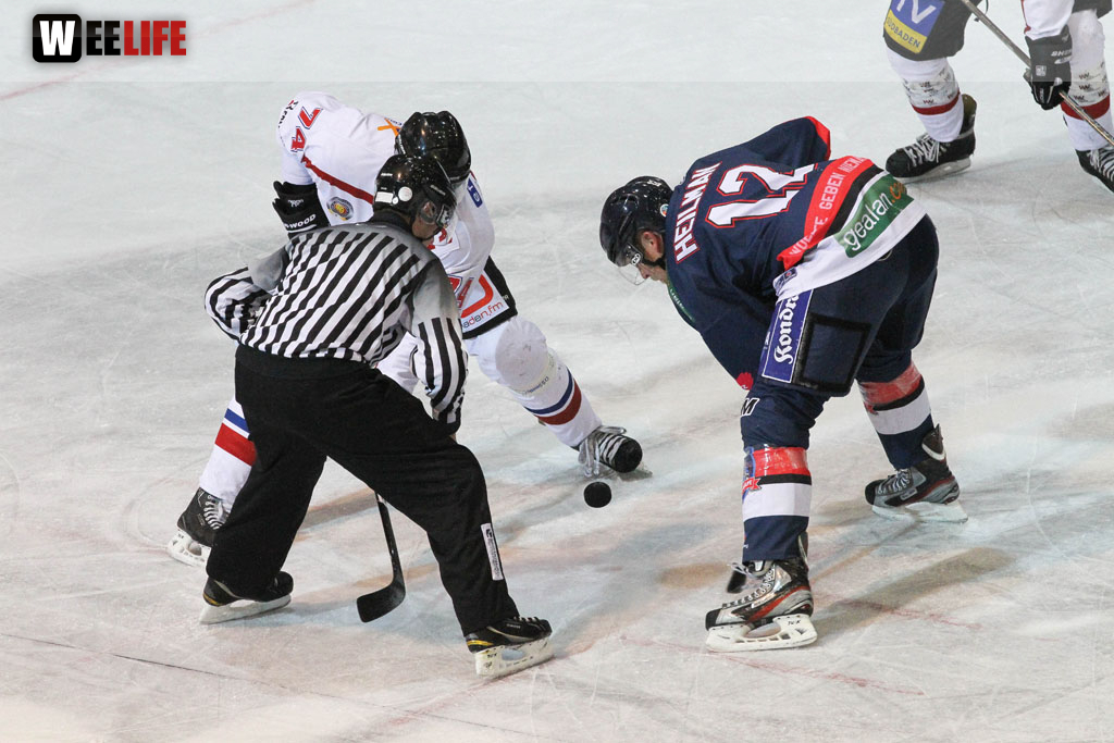 Selber Wölfe - EHC Freiburg
