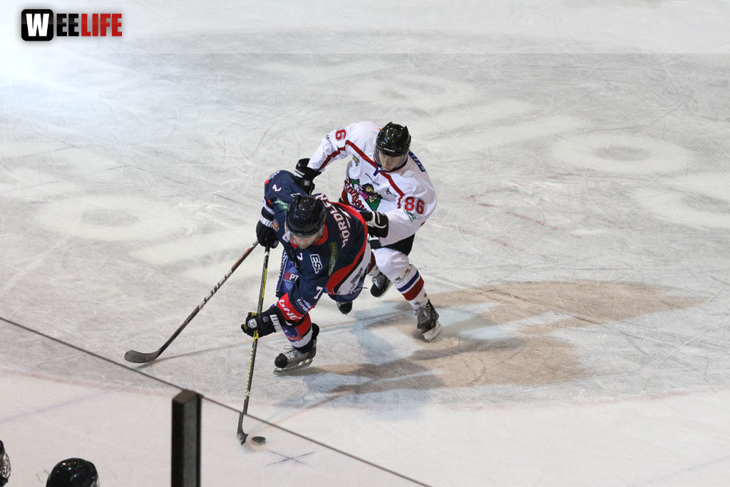 Selber Wölfe - EHC Freiburg