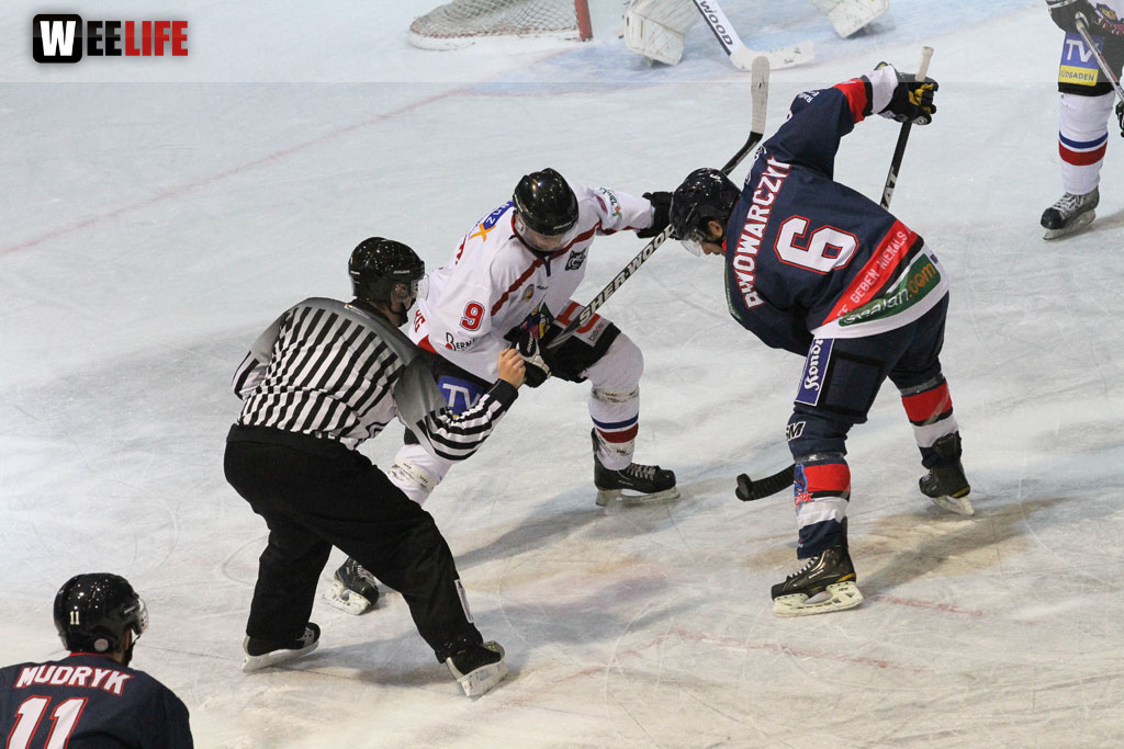 Selber Wölfe - EHC Freiburg