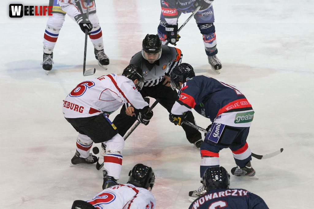 Selber Wölfe - EHC Freiburg