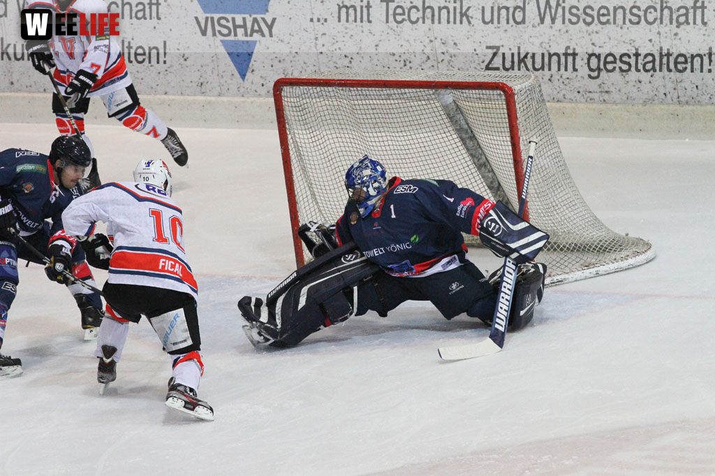 Selber Wölfe - EV Regensburg
