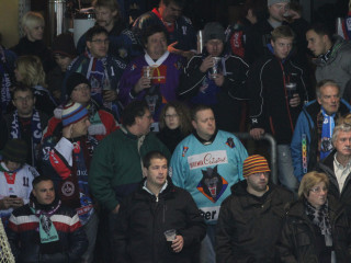Foto 43835 im Album