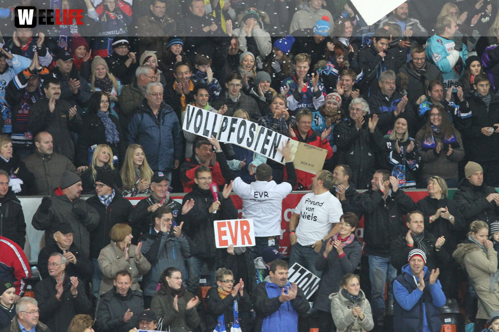 Selber Wölfe - EV Regensburg