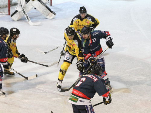 Selber Wölfe - Tölzer Löwen – Foto 6