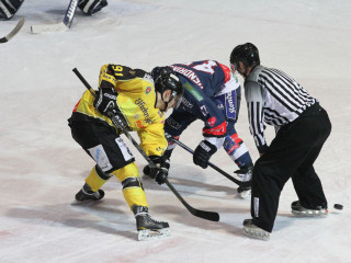 Foto 44000 im Album