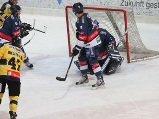 Foto 44078 im Album