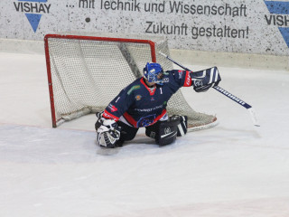 Vorschau des vorherigen Fotos