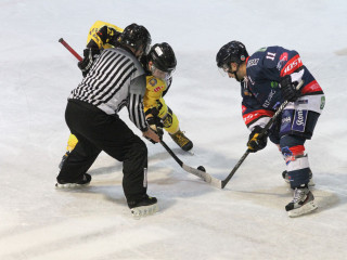 Foto 44109 im Album