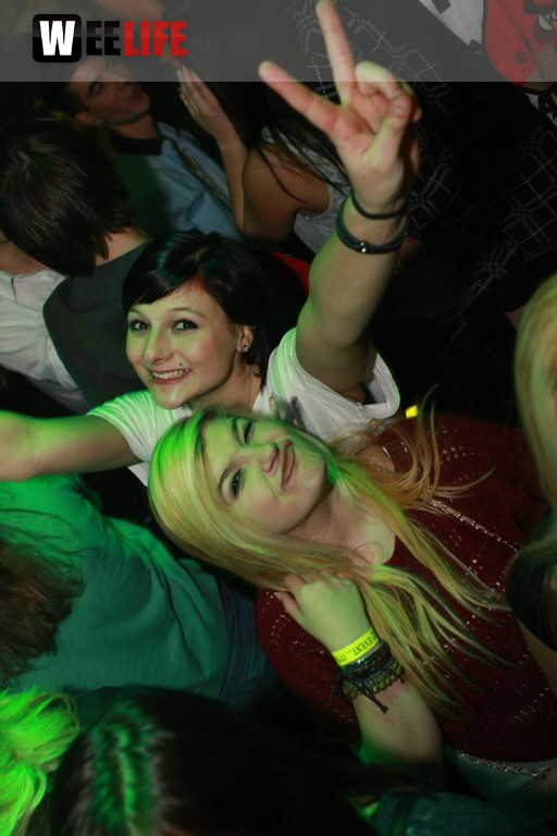 "party animals"