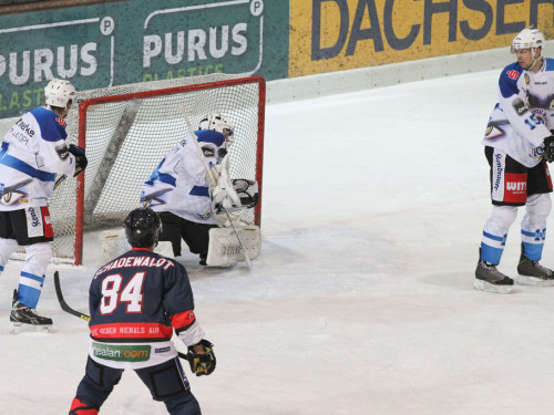 Selber Wölfe - Blue Devils Weiden – Foto 90