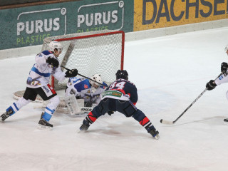 Foto 45026 im Album
