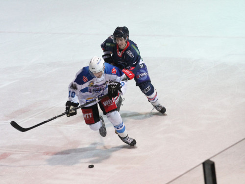 Selber Wölfe - Blue Devils Weiden – Foto 176