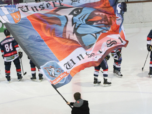 Selber Wölfe - Schweinfurt Mighty Dogs – Foto 4