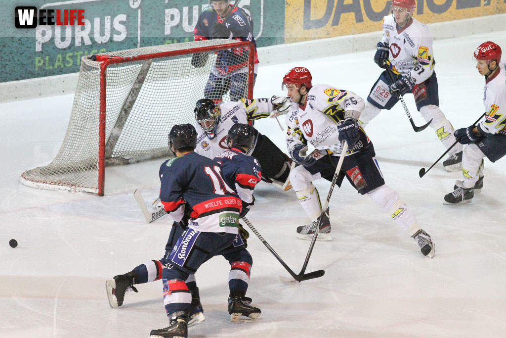 Selber Wölfe - Schweinfurt Mighty Dogs