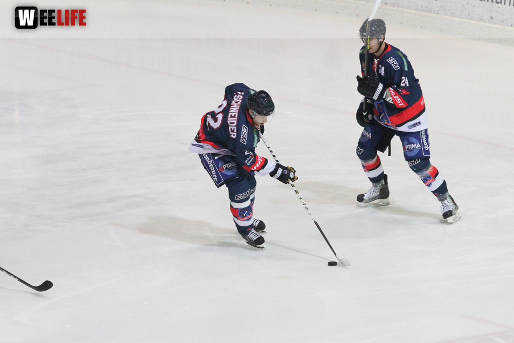 Selber Wölfe - Schweinfurt Mighty Dogs