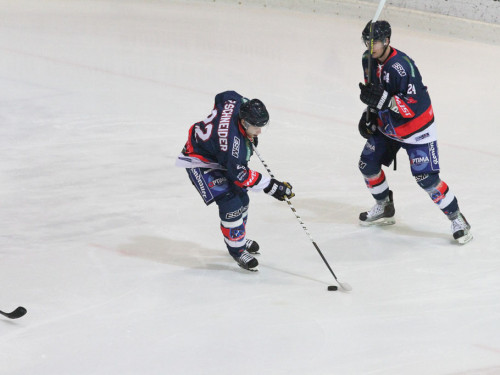 Selber Wölfe - Schweinfurt Mighty Dogs – Foto 11