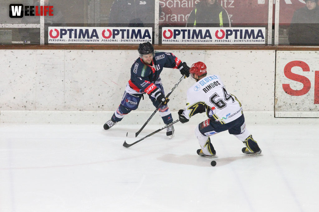 Selber Wölfe - Schweinfurt Mighty Dogs
