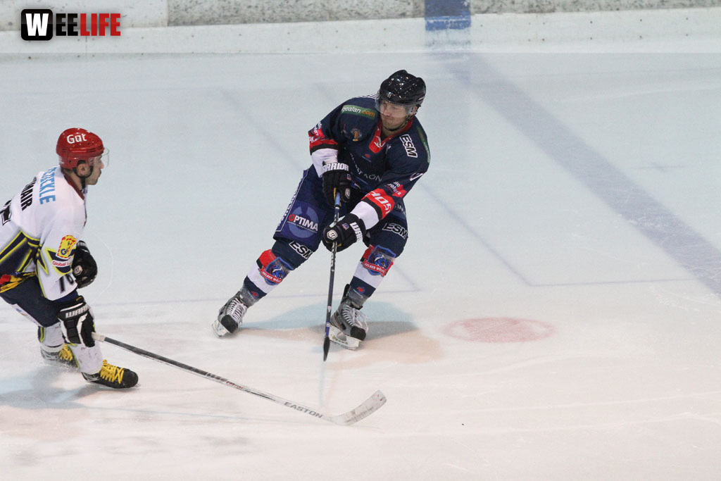 Selber Wölfe - Schweinfurt Mighty Dogs