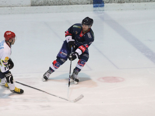 Selber Wölfe - Schweinfurt Mighty Dogs – Foto 13