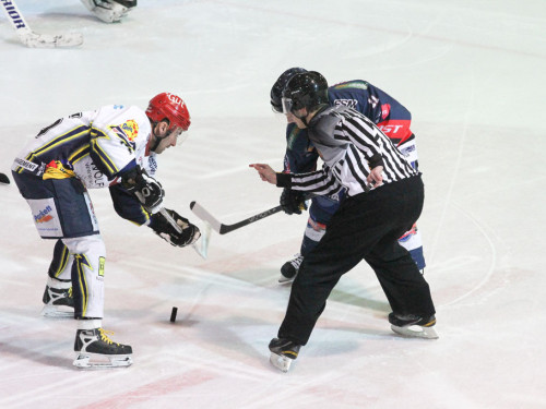 Selber Wölfe - Schweinfurt Mighty Dogs – Foto 15