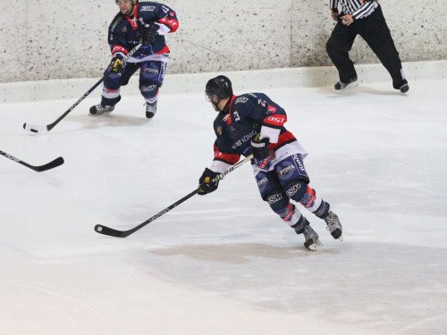 Selber Wölfe - Schweinfurt Mighty Dogs – Foto 16