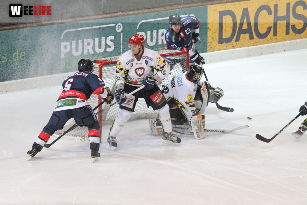 Selber Wölfe - Schweinfurt Mighty Dogs