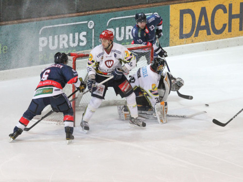 Selber Wölfe - Schweinfurt Mighty Dogs – Foto 18