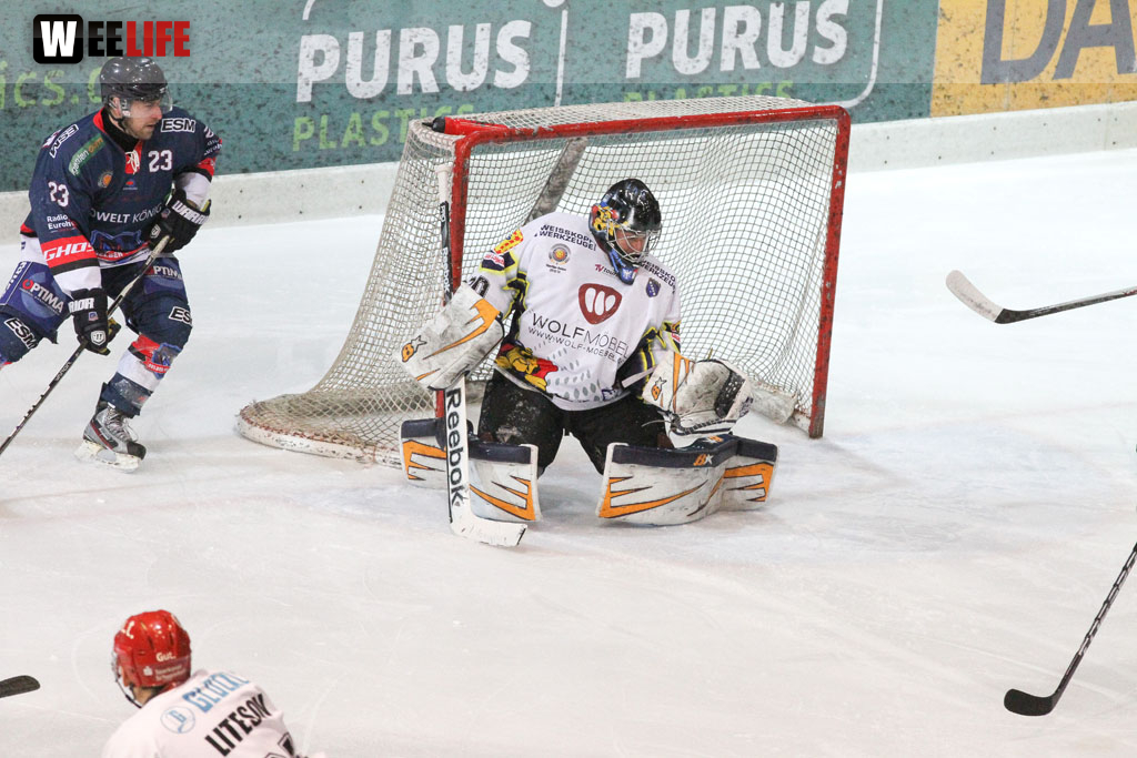 Selber Wölfe - Schweinfurt Mighty Dogs