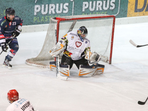 Selber Wölfe - Schweinfurt Mighty Dogs – Foto 20