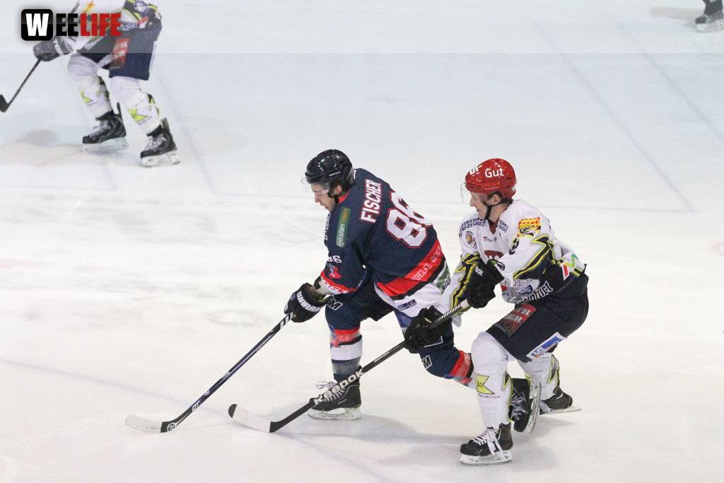Selber Wölfe - Schweinfurt Mighty Dogs
