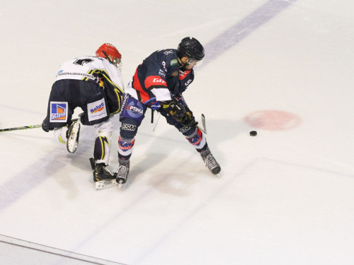 Selber Wölfe - Schweinfurt Mighty Dogs – Foto 26