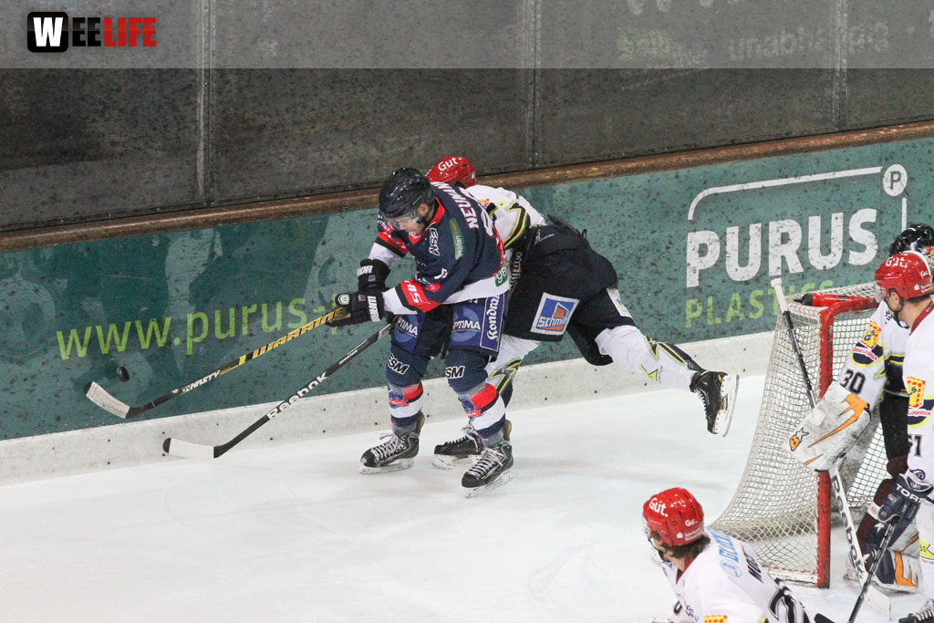 Selber Wölfe - Schweinfurt Mighty Dogs