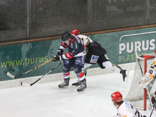 Selber Wölfe - Schweinfurt Mighty Dogs – Foto 27