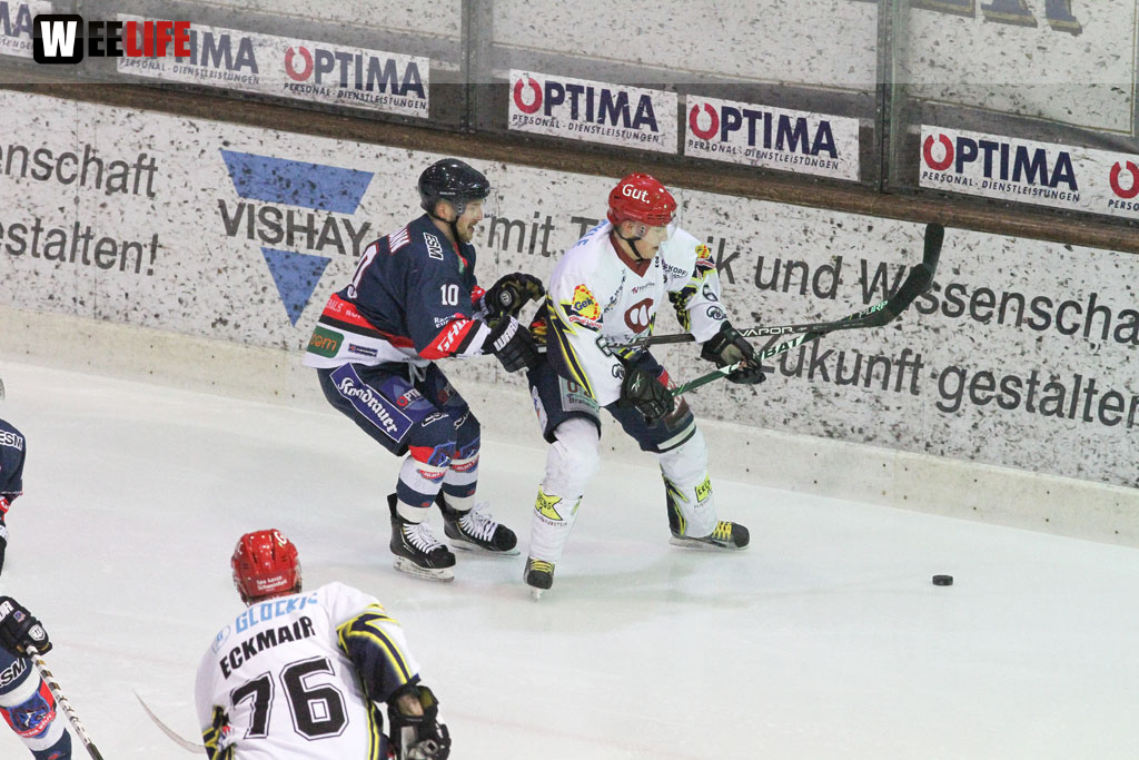 Selber Wölfe - Schweinfurt Mighty Dogs