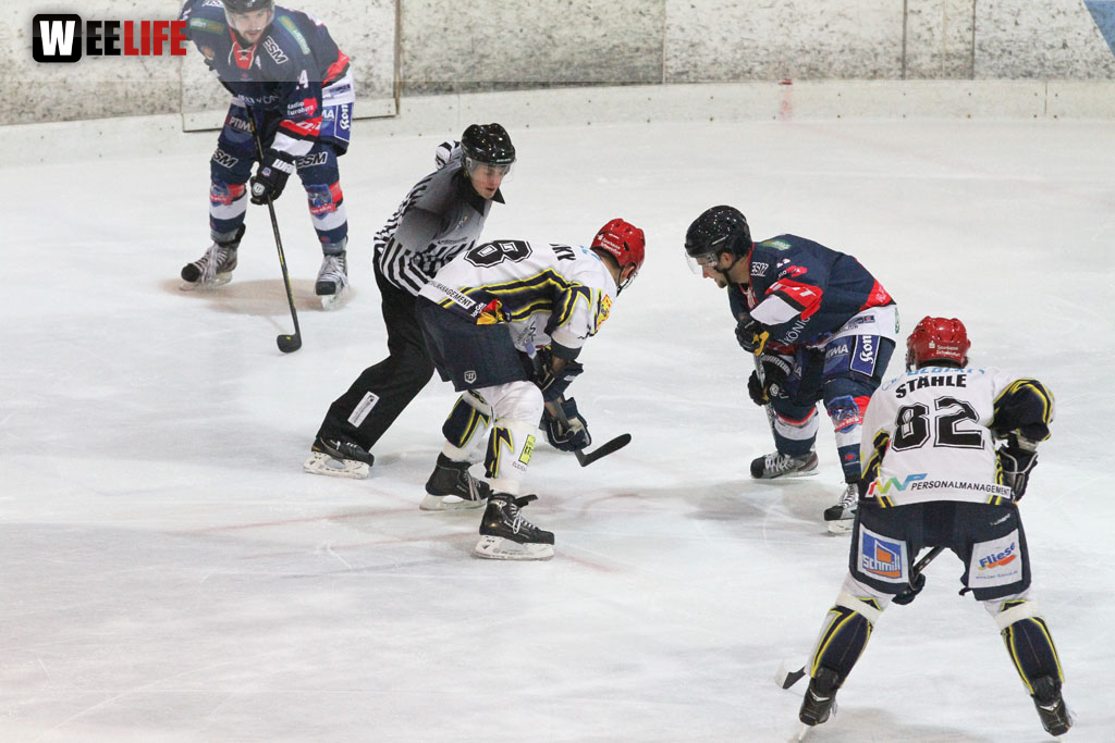 Selber Wölfe - Schweinfurt Mighty Dogs