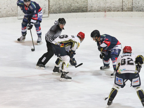 Selber Wölfe - Schweinfurt Mighty Dogs – Foto 32