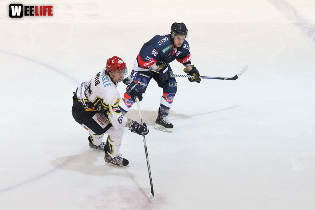 Selber Wölfe - Schweinfurt Mighty Dogs