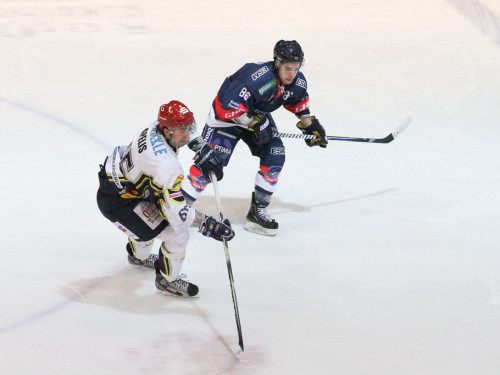 Selber Wölfe - Schweinfurt Mighty Dogs – Foto 33