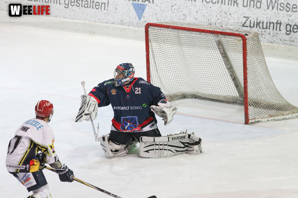 Selber Wölfe - Schweinfurt Mighty Dogs